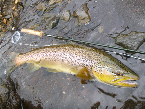 a0236914_6275212.jpg