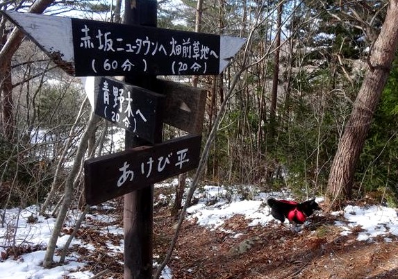 a0127015_19394051.jpg
