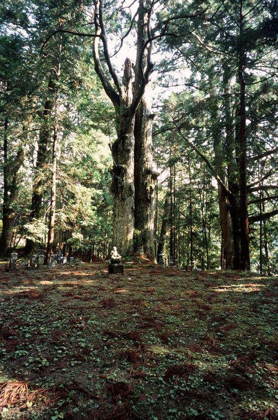 b0178615_2141375.jpg