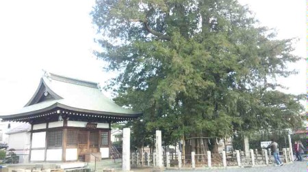 今年の大かや_d0085018_1184681.jpg