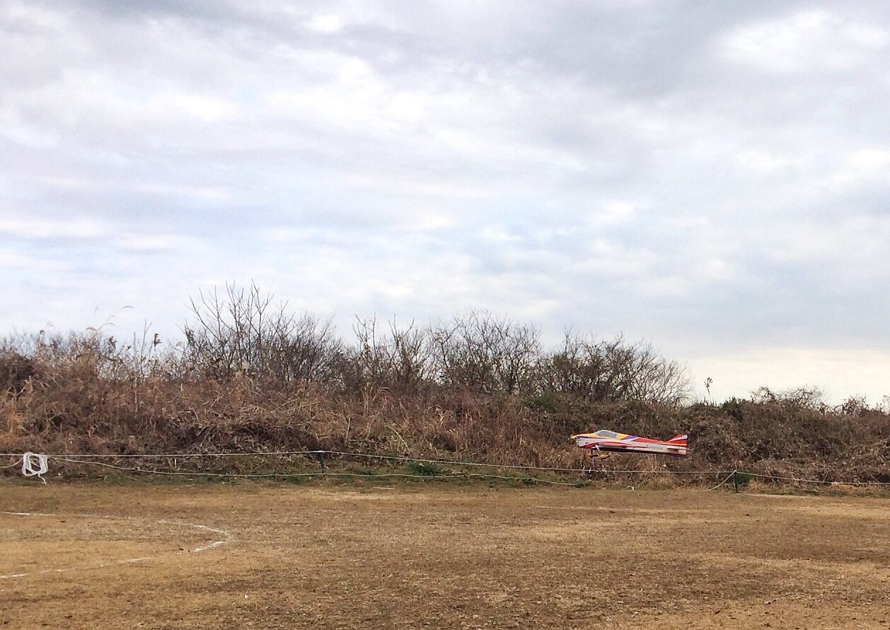 d0202319_16319.jpg