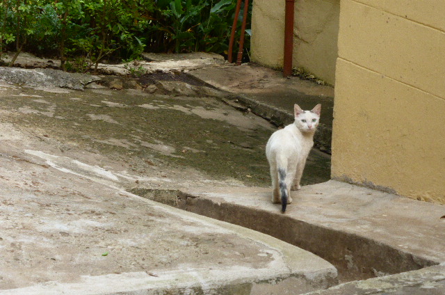 b0208620_17363219.jpg