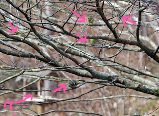 f0232920_1459582.gif