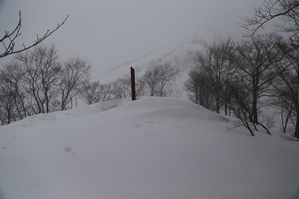 b0062024_21321510.jpg