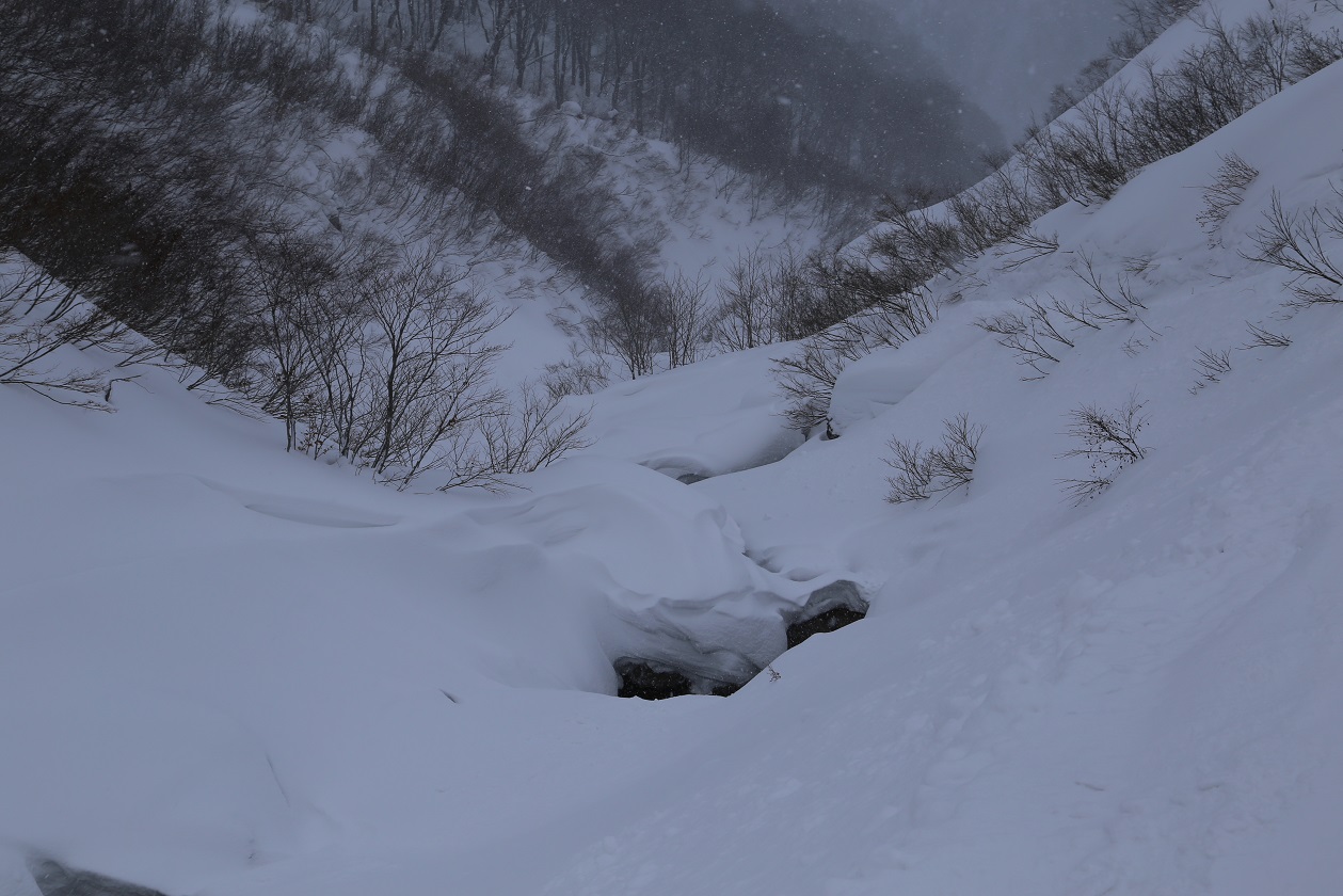 b0062024_21533624.jpg