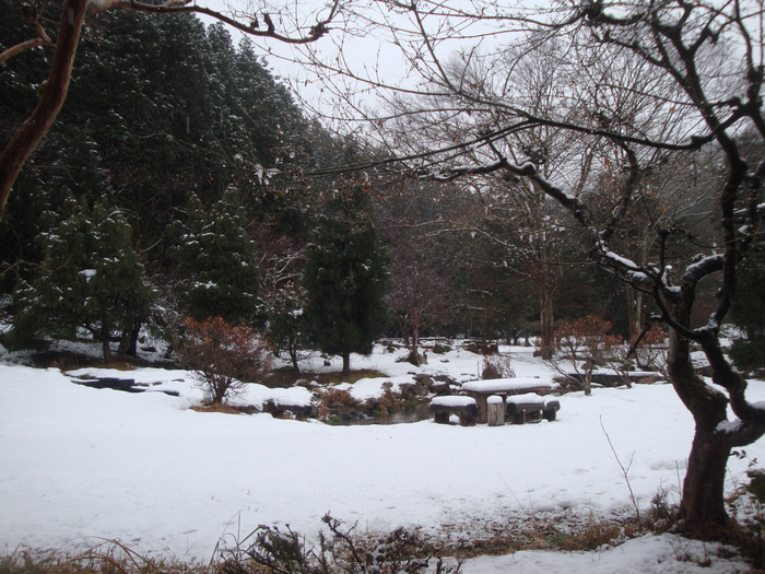 b0207632_12594549.jpg
