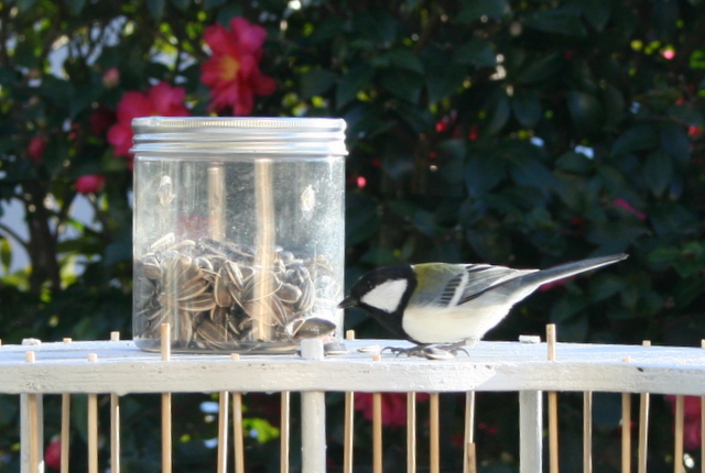 竹ひごで作ったシジュユカラの餌台　300X300X300mm 竹ひごで作ったシジュユカラの餌台 300X300X300mm