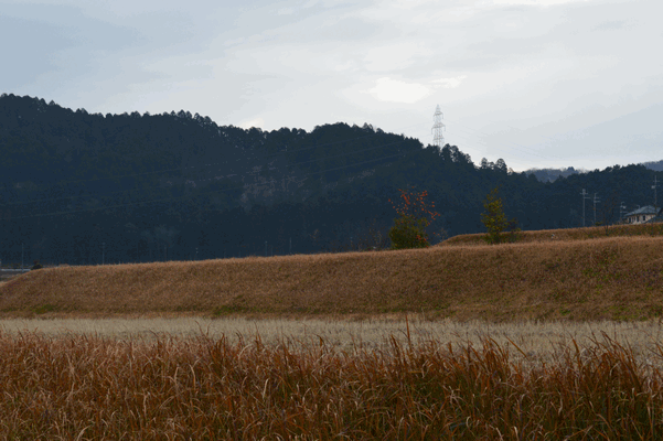 c0136736_1531633.gif