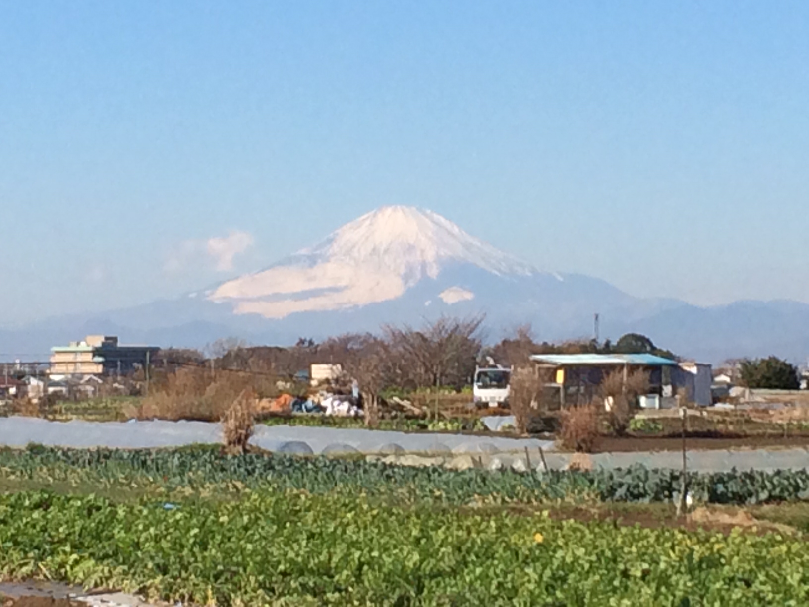 おはようございます　・・畑はいつものように　富士山が迎えてくれました_c0222448_12052185.jpg