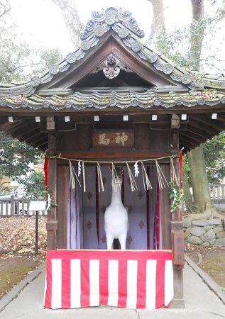 No.3383 京都で初詣 Part6・・・今宮神社・・・_e0164951_22555834.jpg