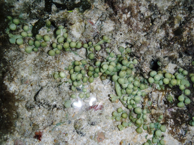 c0180460_16562698.jpg