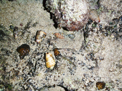 c0180460_17102257.jpg