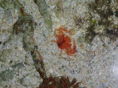 c0180460_1731581.jpg
