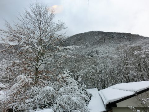 年末年始の帰省旅行、その２ ～ 奥飛騨 新平湯温泉「松宝苑」_e0045768_2153787.jpg