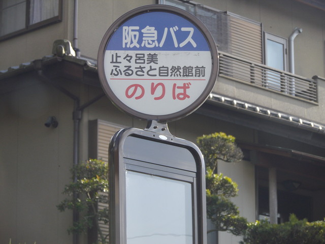 c0001670_2283332.jpg