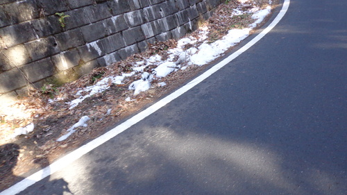 e0124473_172295.jpg