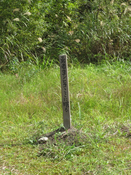 a0167480_1424546.jpg