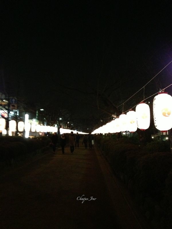 厄払い…_d0266681_11322246.jpg