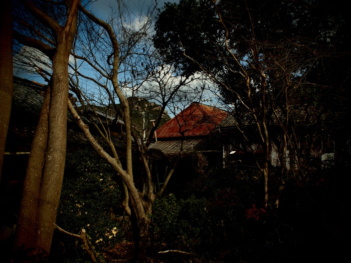 e0291683_12431869.jpg
