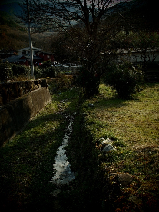 e0291683_12453736.jpg