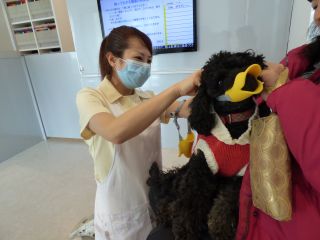 2014年1月6日 ぐるぐるっとね_b0098584_22105445.jpg