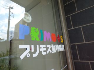 2014年1月6日 ぐるぐるっとね_b0098584_2294980.jpg