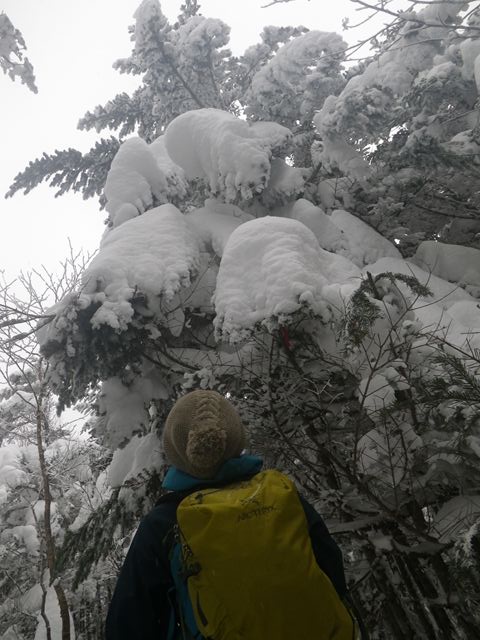 e0271890_22213553.jpg