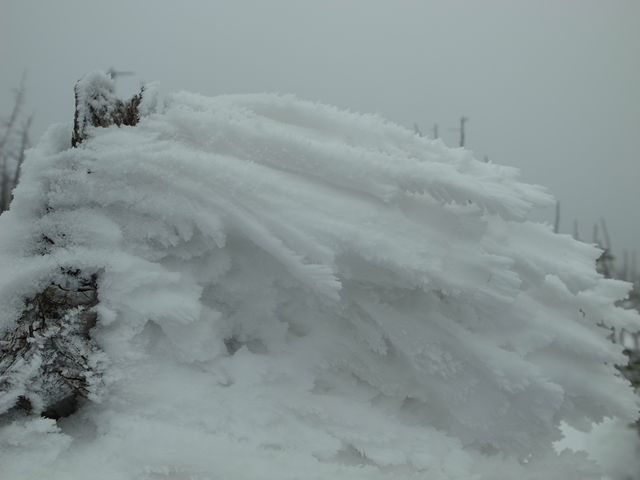 e0271890_23012579.jpg