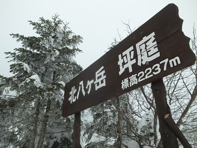 e0271890_23312527.jpg