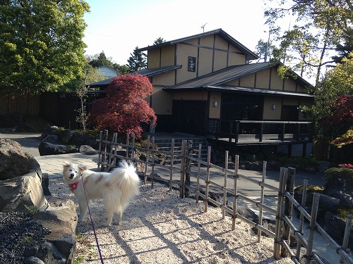 お宿: はんなり 伊豆高原_a0032004_130181.jpg