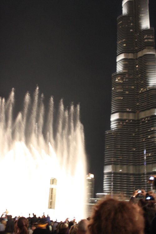 e0123104_9123499.jpg