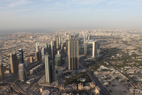 e0123104_92552.jpg