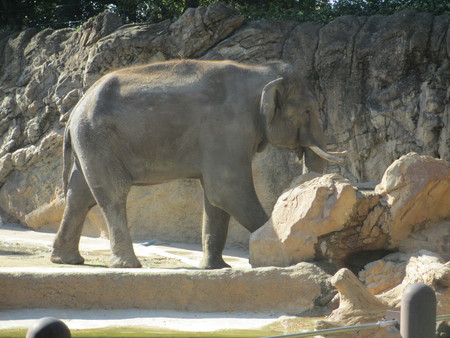b0203907_23742.jpg