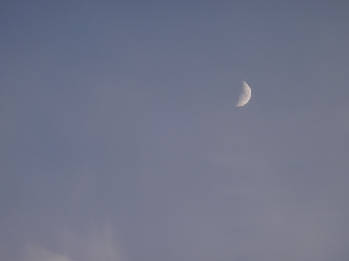 c0279611_16173178.jpg