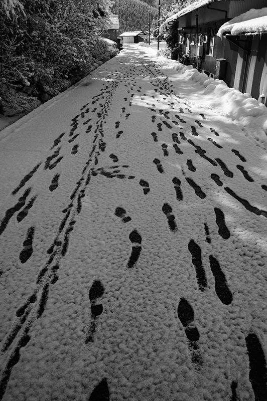 f0032011_19421417.jpg