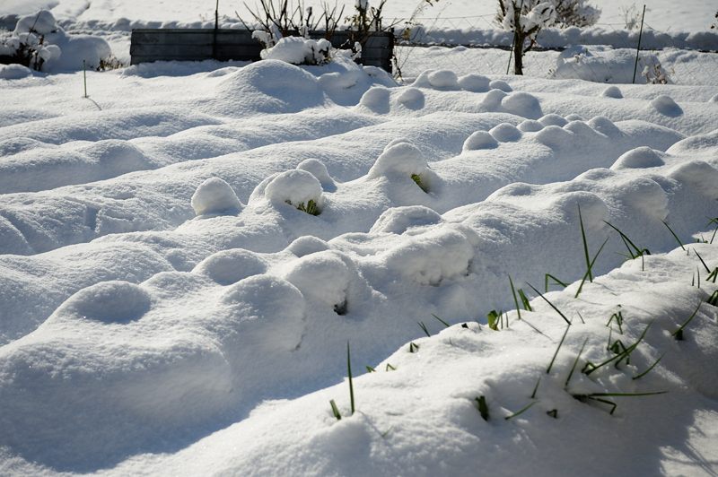 f0032011_19442828.jpg