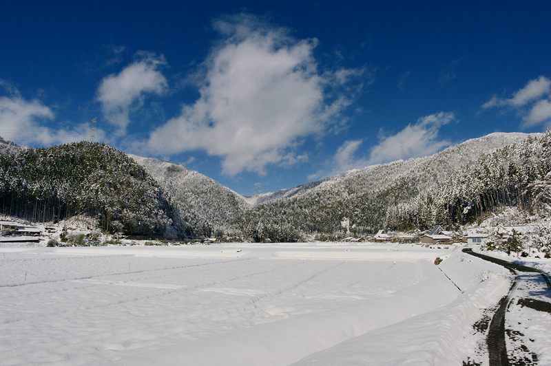 f0032011_1944571.jpg