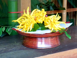 e0145412_11455098.jpg