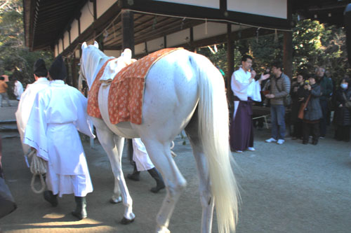 上賀茂神社 白馬奏覧と七草粥_e0048413_20565448.jpg