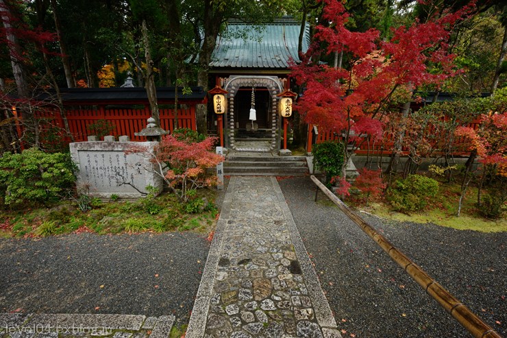 京都 赤山禅院 ～紅葉～_d0319222_14195654.jpg