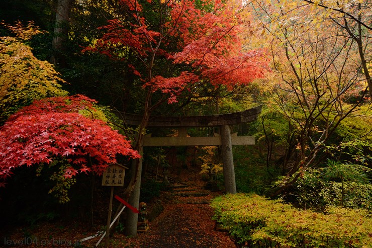 京都 赤山禅院 ～紅葉～_d0319222_14201266.jpg