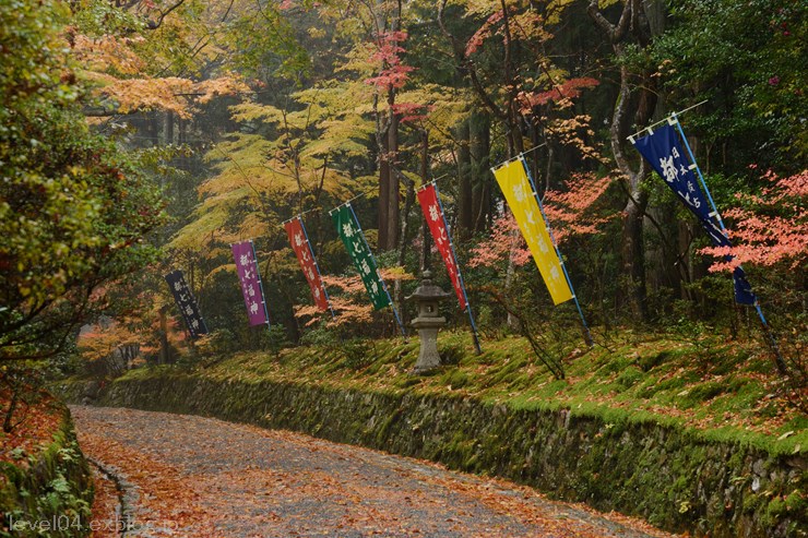 京都 赤山禅院 ～紅葉～_d0319222_14201944.jpg