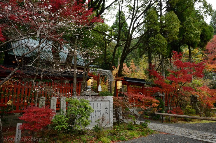 京都 赤山禅院 ～紅葉～_d0319222_1420755.jpg