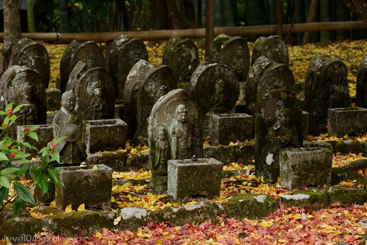 京都 赤山禅院 ～紅葉～_d0319222_1420880.jpg