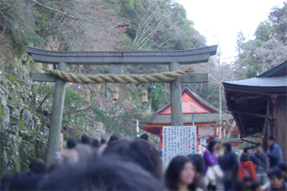 f0045132_1517227.jpg