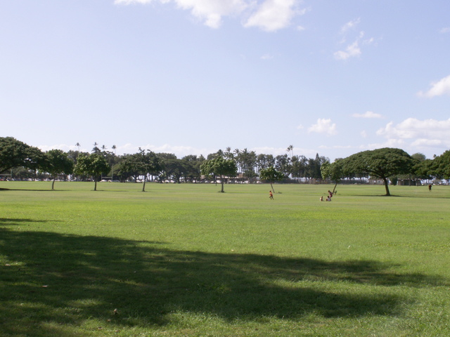 b0139239_12595763.jpg