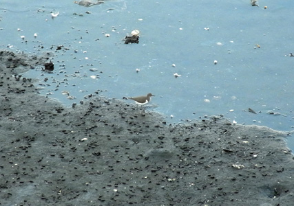 f0206939_2142079.jpg