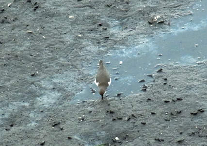 f0206939_21424132.jpg