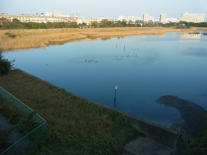 f0206939_21425019.jpg