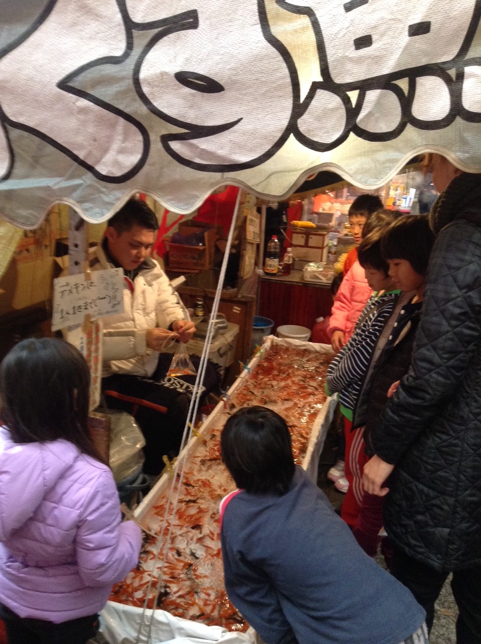 いのち短し祭りじゃ乙女、今日は再び来ぬものを2014_d0246243_161397.jpg
